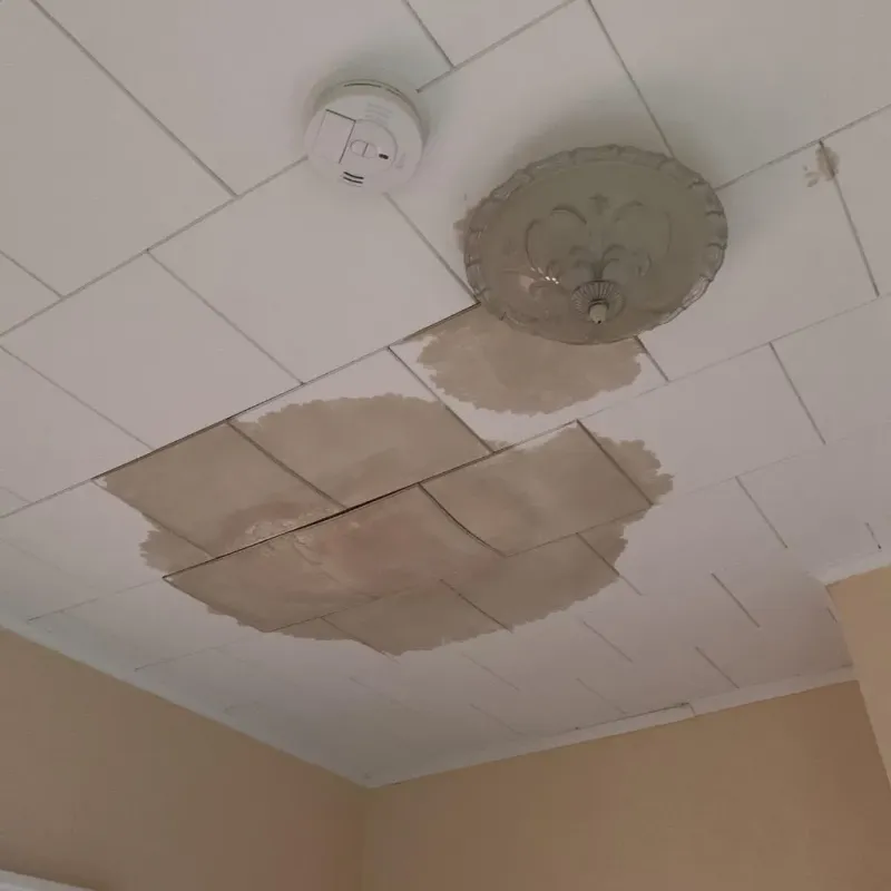 Ceiling Water Damage Repair in Dallas, PA