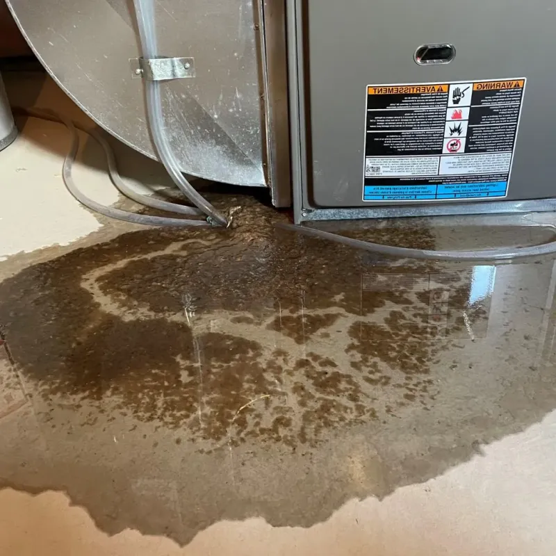Pipe Burst and Leak Restoration in Dallas, PA