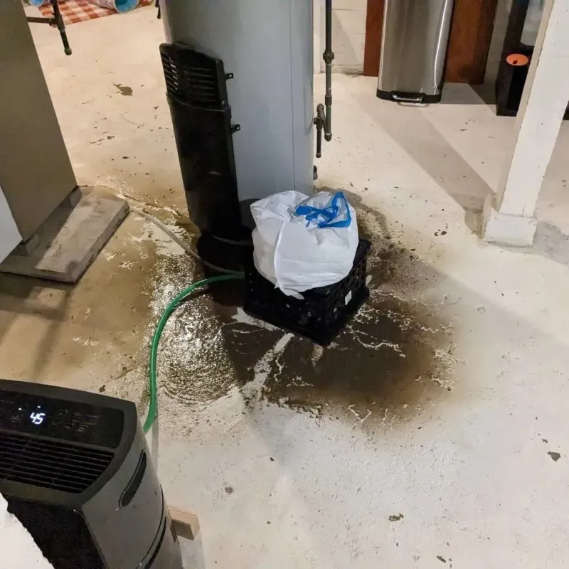 Sewage Backup Cleanup Service in Dallas, PA